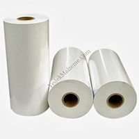 POLYESTER PRESBANTLAR